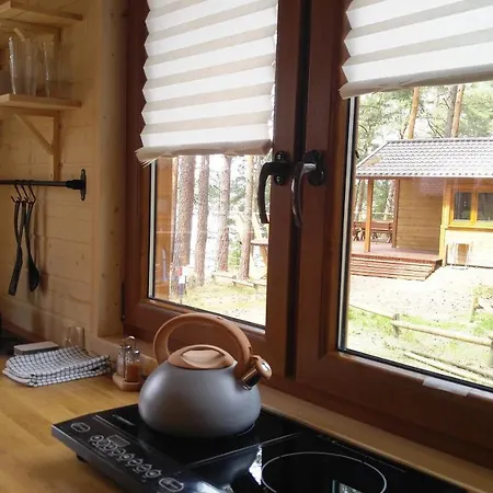 Prázdninový dům Zakatek Wdzydze Z Widokiem Na Jezioro -domek Nr 19 *