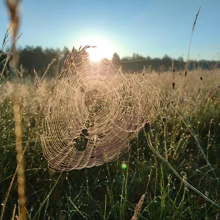 Zakatek Wdzydze Z Widokiem Na Jezioro -domek Nr 19 Prázdninový dům Borsk