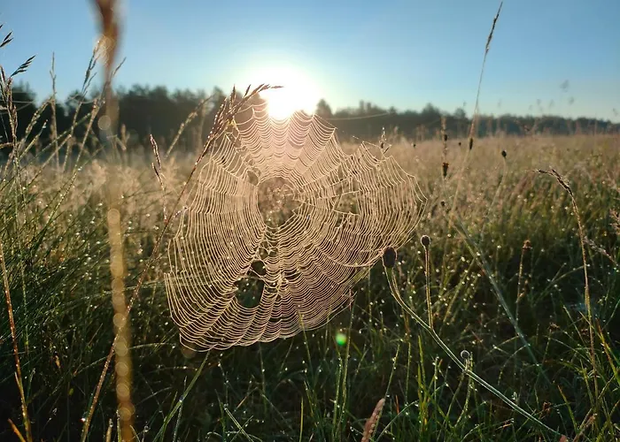 Zakatek Wdzydze Z Widokiem Na Jezioro -domek Nr 19 Semesterbostad Borsk